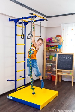 шведская стенка