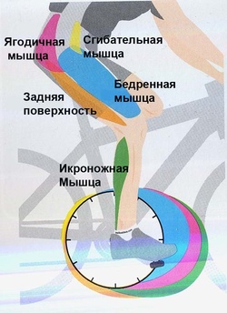 велосипеда