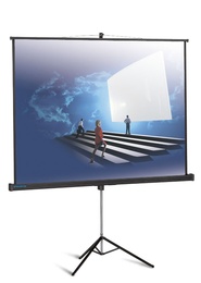 Экран на штативе Projecta ProView 127*127 Matte White в Нижнем Новгороде