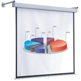 Экран настенно-потолочный Screen Media Economy 153*203 MW в Нижнем Новгороде