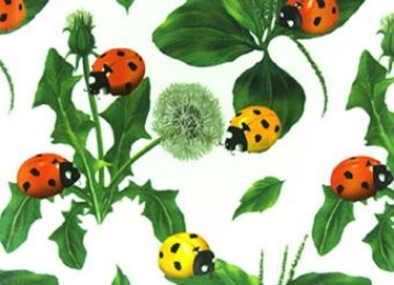 Клеенка столовая Колорит 1,26м(+ - 4см) х25м 443/0 Ткань в Нижнем Новгороде