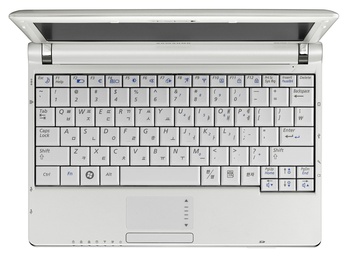 Нетбук Samsung NC110 (A02) White в Нижнем Новгороде