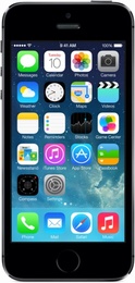 Apple iPhone 5S 16Gb Space Gray в Нижнем Новгороде