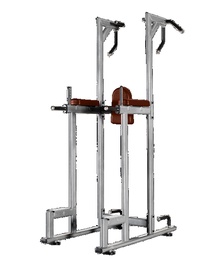 Турник/Пресс/Брусья Bronze Gym J-027 в Нижнем Новгороде