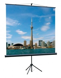 Экран на штативе Lumien Eco View 180*180 в Нижнем Новгороде