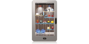 Электронная книга Wexler Book T7055 Silver в Нижнем Новгороде