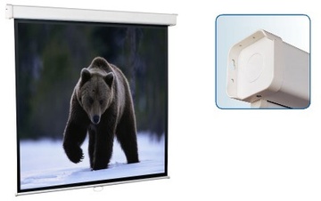 Экран настенно-потолочный Screen Media Economy 203*203 MW в Нижнем Новгороде