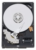 Жесткий диск Western Digital WD10EALX в Нижнем Новгороде вид 2