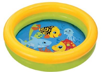 Бассейн Intex 59409 "Математика" 61х15см в Нижнем Новгороде