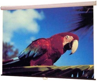 Экран настенно-потолочный Draper Luma 178*178 Matte White в Нижнем Новгороде