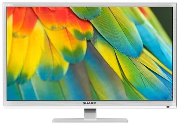 ЖК телевизор Sharp LC-24CHF4012EW в Нижнем Новгороде
