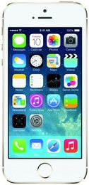 Apple iPhone 5S 32Gb Gold в Нижнем Новгороде