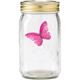 "Бабочка в банке" HS-FBL001 в Нижнем Новгороде
