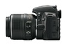 Фотоаппарат Nikon D3100 18-55 VR Kit в Нижнем Новгороде вид 6