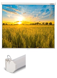 Экран настенно-потолочный Lumien Eco Picture 150*150 Matte White в Нижнем Новгороде