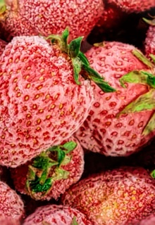 Как замораживать продукты для хранения в морозильной камере