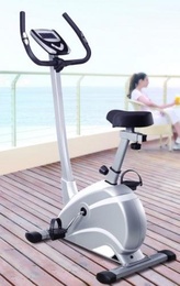 Велотренажер Dinamast DB-2290M в Нижнем Новгороде