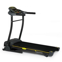 Беговая дорожка Diamond Fitness Audio 1.9 в Нижнем Новгороде