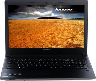 Ноутбук Lenovo B5030 (59443806) в Нижнем Новгороде