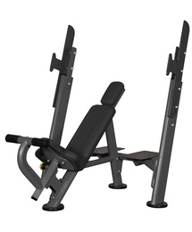 Скамья для жима с положительным наклоном Spirit AFB101 в Нижнем Новгороде