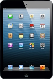 Apple iPad mini 64Gb Wi-Fi Black в Нижнем Новгороде