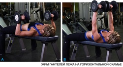 Прямой жим гантелей лежа