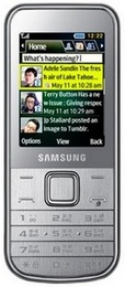 Samsung C3530 White Silver в Нижнем Новгороде