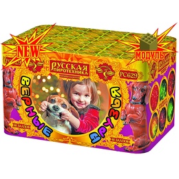 Батарея салютов "Верные друзья" (0,8" х 48) РС629 в Нижнем Новгороде