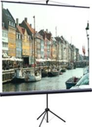 Экран на штативе Classic Libra 150*150 в Нижнем Новгороде