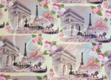 Коврик мерный 0,80х15м FV13 67520 (1) фотопечать в Нижнем Новгороде