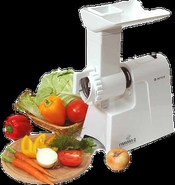 Мясорубка Гамма 2 в Нижнем Новгороде