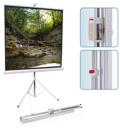 Экран на штативе Screen Media Apollo T 150*150 Matte White в Нижнем Новгороде