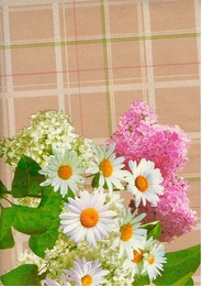 Клеенка столовая Колорит 1,37(+ - 3) х25м 807/2 в Нижнем Новгороде