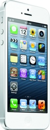 Apple iPhone 5 16Gb White в Нижнем Новгороде