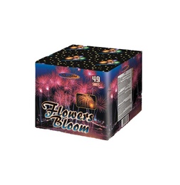 Батарея салютов "Flowers Bloom" 25 мм/49 выст. в Нижнем Новгороде