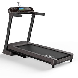 Беговая дорожка Larsen Performance E3010 в Нижнем Новгороде