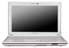 Нетбук Samsung NC110 (A02) White в Нижнем Новгороде вид 3