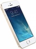 Apple iPhone 5S 16Gb Gold в Нижнем Новгороде вид 3