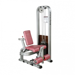 Тренажер Body Solid SLE-200G в Нижнем Новгороде