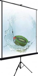 Экран на штативе Dinon Tripod 180*180 Matte White в Нижнем Новгороде