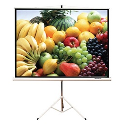 Экран на штативе Dinon Tripod 160*160 Matte White в Нижнем Новгороде