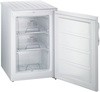 Морозильная камера Gorenje F 4091 ANW в Нижнем Новгороде вид 3